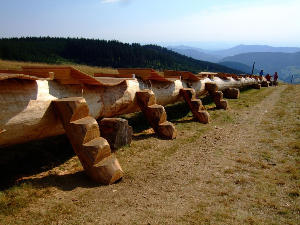 Bergseele Privat- & Retreathotel Schwarzwald Todtnauberg Exterior foto